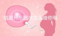 临夏州东鹏水龙头维修电话号码